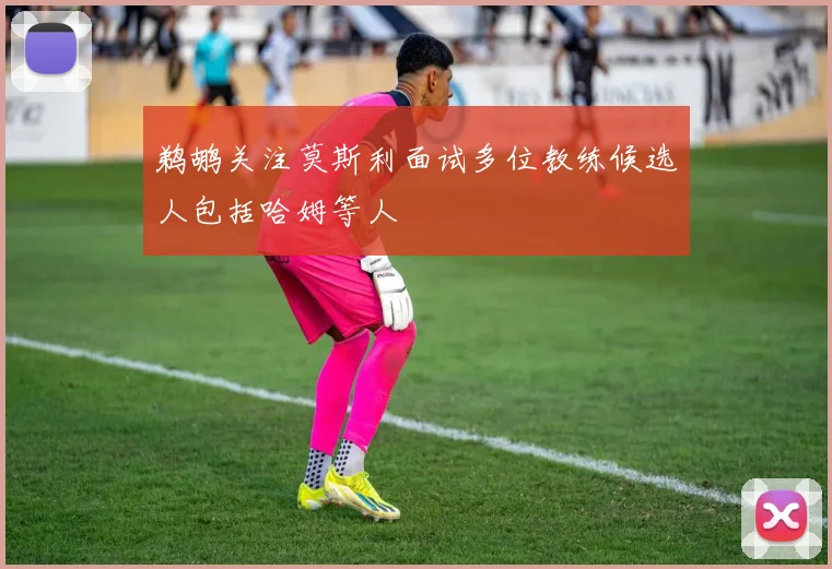 鹈鹕关注莫斯利面试多位教练候选人包括哈姆等人