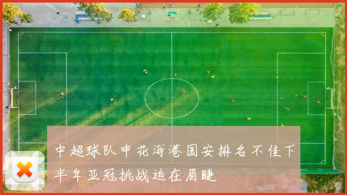 中超球队申花海港国安排名不佳下半年亚冠挑战迫在眉睫